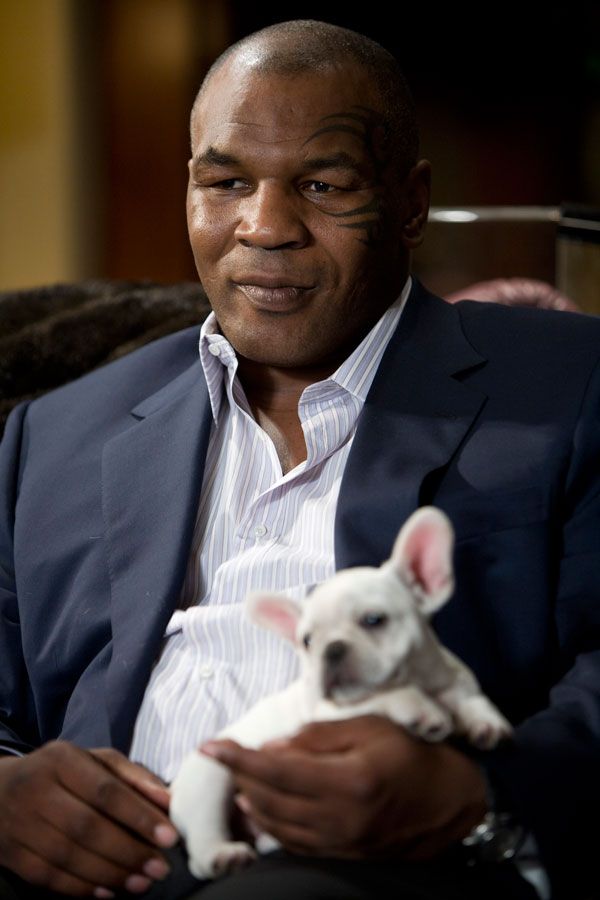 Mike Tyson in The Hangover.jpg